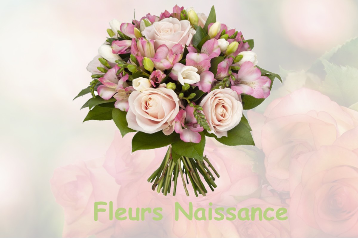 fleurs naissance LAUZERVILLE