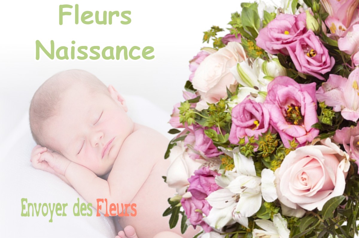 lIVRAISON FLEURS NAISSANCE à LAUZERVILLE